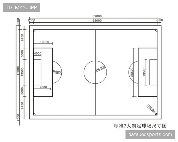 足球场尺寸规则详解及各级比赛场地标准对比 足球场尺寸规则详解及各级比赛场地标准对比